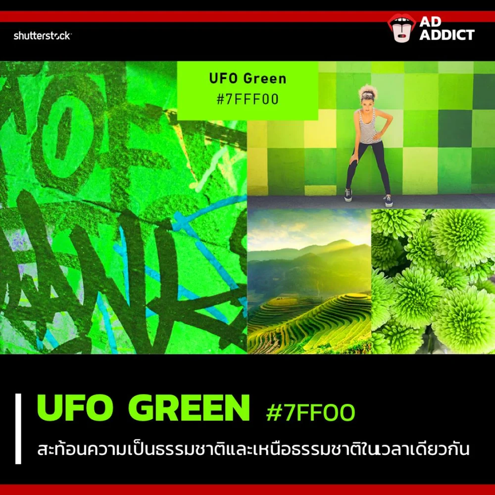 Trend สี 2019 จาก Shutterstock ที่นักการตลาดควรรู้เอาไว้เพื่อเป็นประโยชน์ในการทำคอนเทนต์!