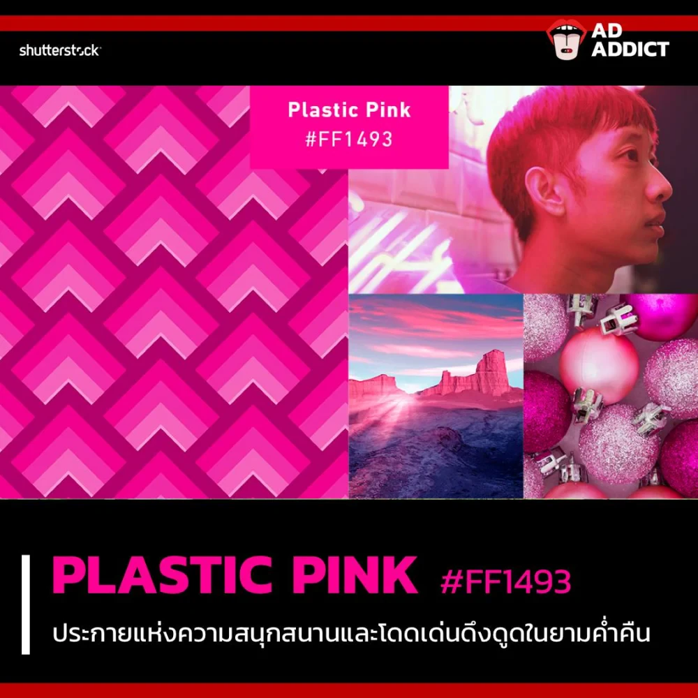 Trend สี 2019 จาก Shutterstock ที่นักการตลาดควรรู้เอาไว้เพื่อเป็นประโยชน์ในการทำคอนเทนต์!