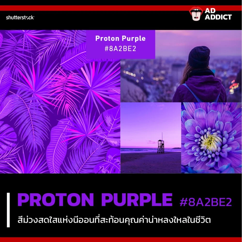 Trend สี 2019 จาก Shutterstock ที่นักการตลาดควรรู้เอาไว้เพื่อเป็นประโยชน์ในการทำคอนเทนต์!