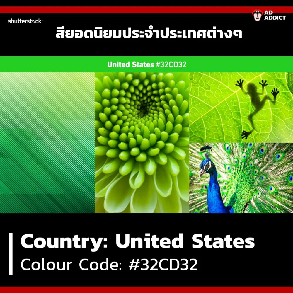 Trend สี 2019 จาก Shutterstock ที่นักการตลาดควรรู้เอาไว้เพื่อเป็นประโยชน์ในการทำคอนเทนต์!