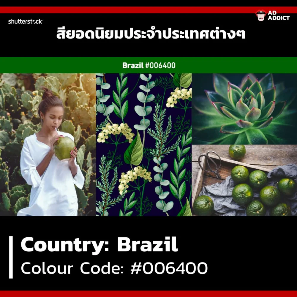 Trend สี 2019 จาก Shutterstock ที่นักการตลาดควรรู้เอาไว้เพื่อเป็นประโยชน์ในการทำคอนเทนต์!