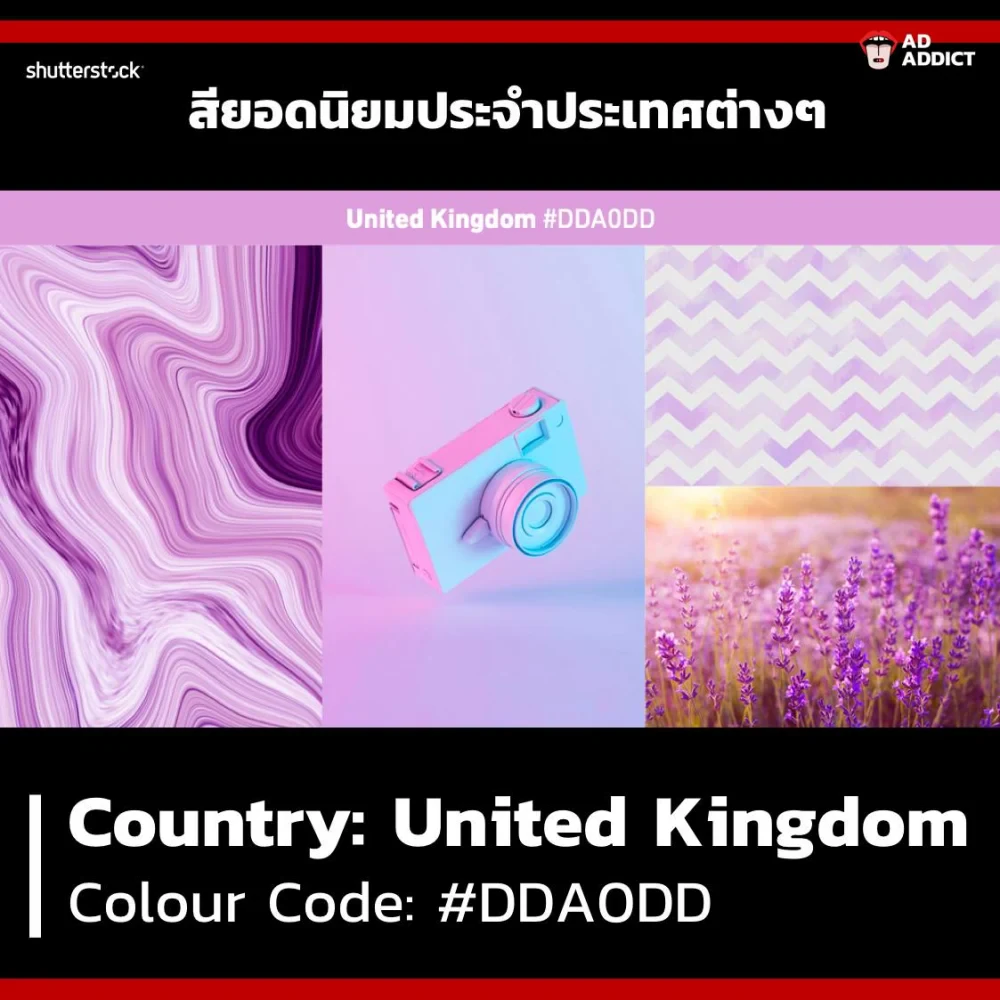Trend สี 2019 จาก Shutterstock ที่นักการตลาดควรรู้เอาไว้เพื่อเป็นประโยชน์ในการทำคอนเทนต์!