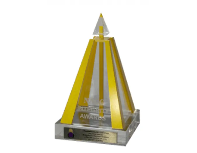 NACC Integrity Award 2013